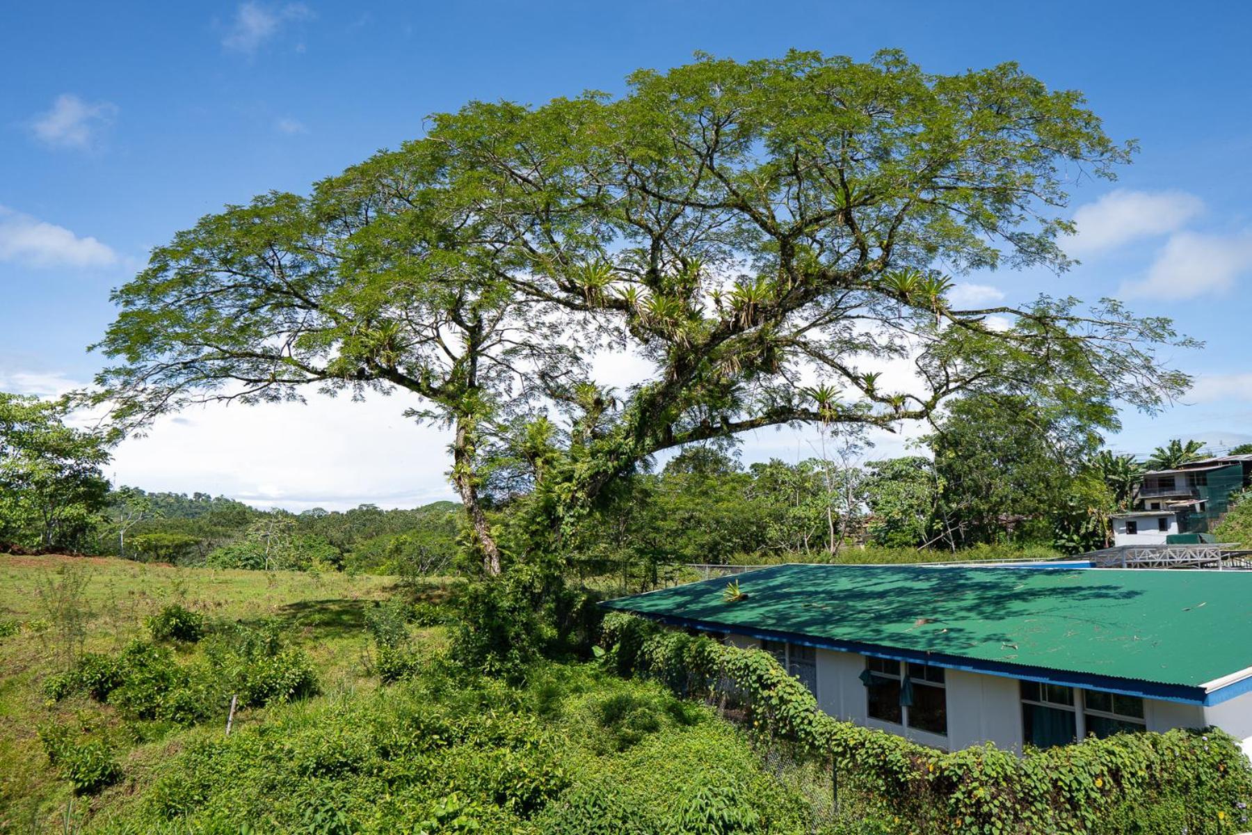 奎波斯城 Yellow House旅馆 外观 照片