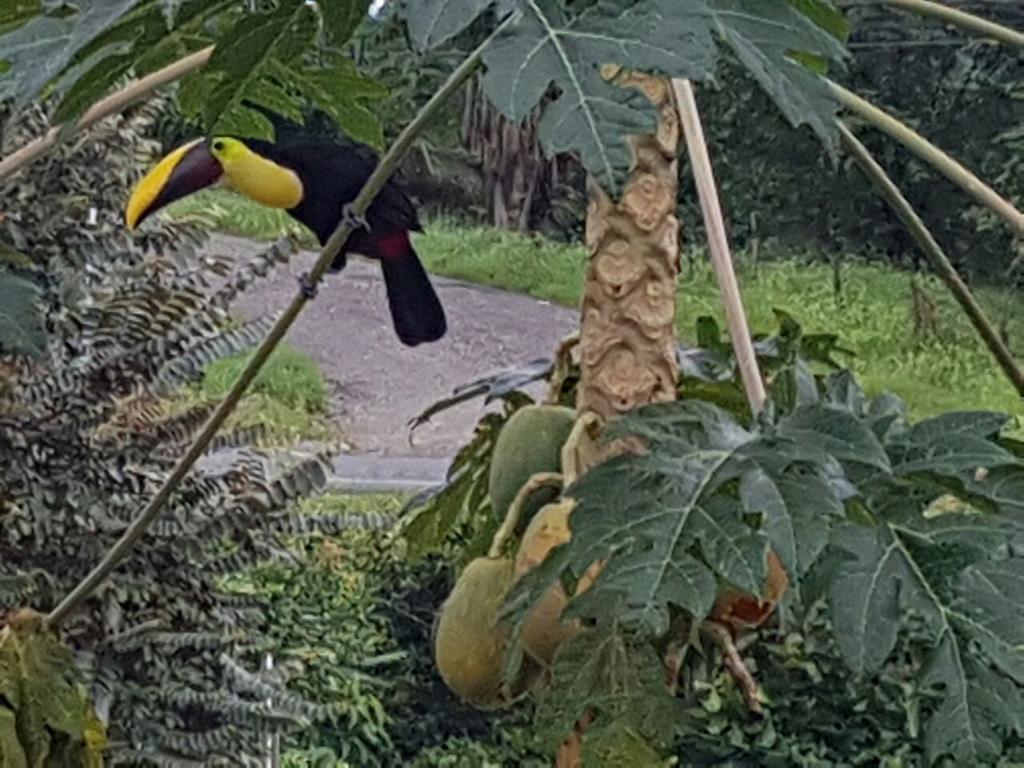 奎波斯城 Yellow House旅馆 外观 照片